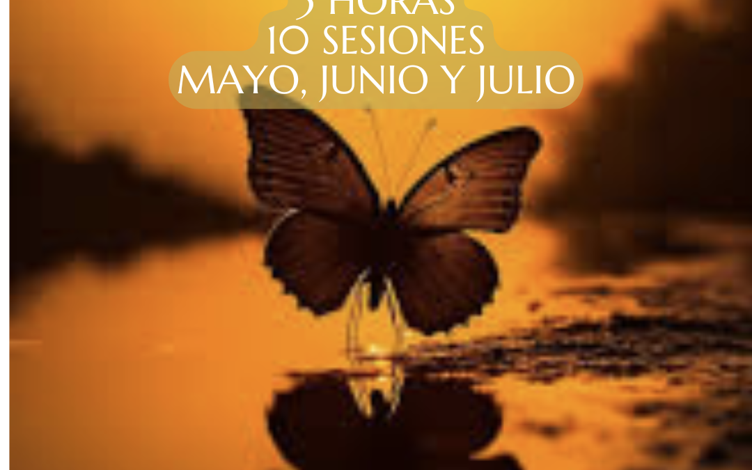 PRÁCTICA FINAL REIKI III