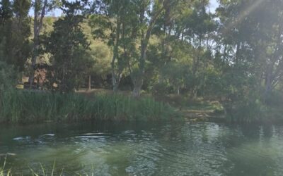 CAMINATAS EN SILENCIO